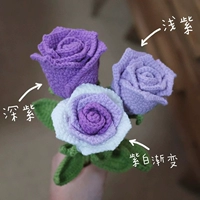 Помещания Purple Rose Color