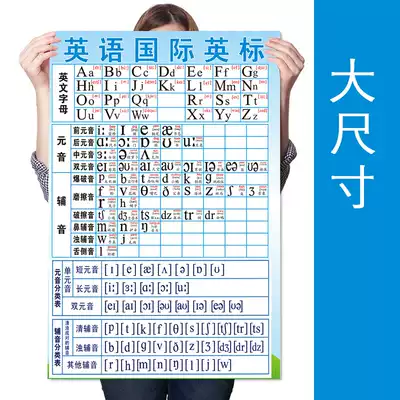 Primary School students 48 English phonetic chart vowel consonants 26 English alphabet writing comparison practice wall stickers