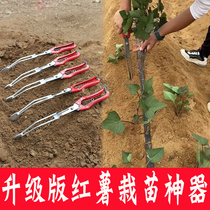 Planting sweet potato seedlings agricultural tools transplanting seedlings planting seedlings transplanting machines planting sweet potatoes pepper purple potato Pepper machinery