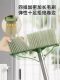 Broom and Dustpan Set for Home Use, Transparent 2026 New Model, Plastic Broom and Dustpan Combo, Non-Stick Hair Broom