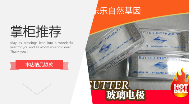 SUTTER原装 玻璃电极 B150-117-10