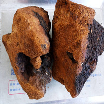 Long White Mountain Wild Birch Tree Furry Birch Birch Birch Brown I Pore Fungus 500 gr Catty RMB95  Free to powder