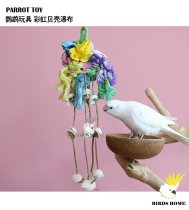 Bird head parrot toy rainbow shell waterfall Xuanfeng Sun monk parrot toy