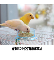 Pet Bird Parrot Acrylic Anti-Turn Food Box Water Basin Bird Bowl Chick Feeder Bird Cage Utensil Little Bird When Home