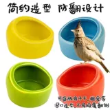 Керамическая чаша попугая молодые птицы учатся есть птицы и бокс -коробку для бокса с водой xuanfeng parrot cage аксессуары Daquan