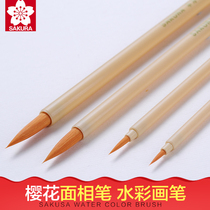 Japan SAKURA cherry blossom face pen Watercolor pen brush pen Comic hand painting hook pen Chinese painting color pen Watercolor pen Small Kai brush set fine brush pen