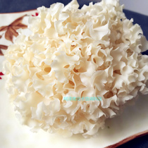 New Date Shipping Content Fresh Embroideococet Precious Edible Mushroom 1kg Loaded to Flower Petal Mushrooms Masteria