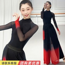 古典舞蹈服女形体身韵练功服中国舞民族艺考飘逸溯跃秧歌舞演出服