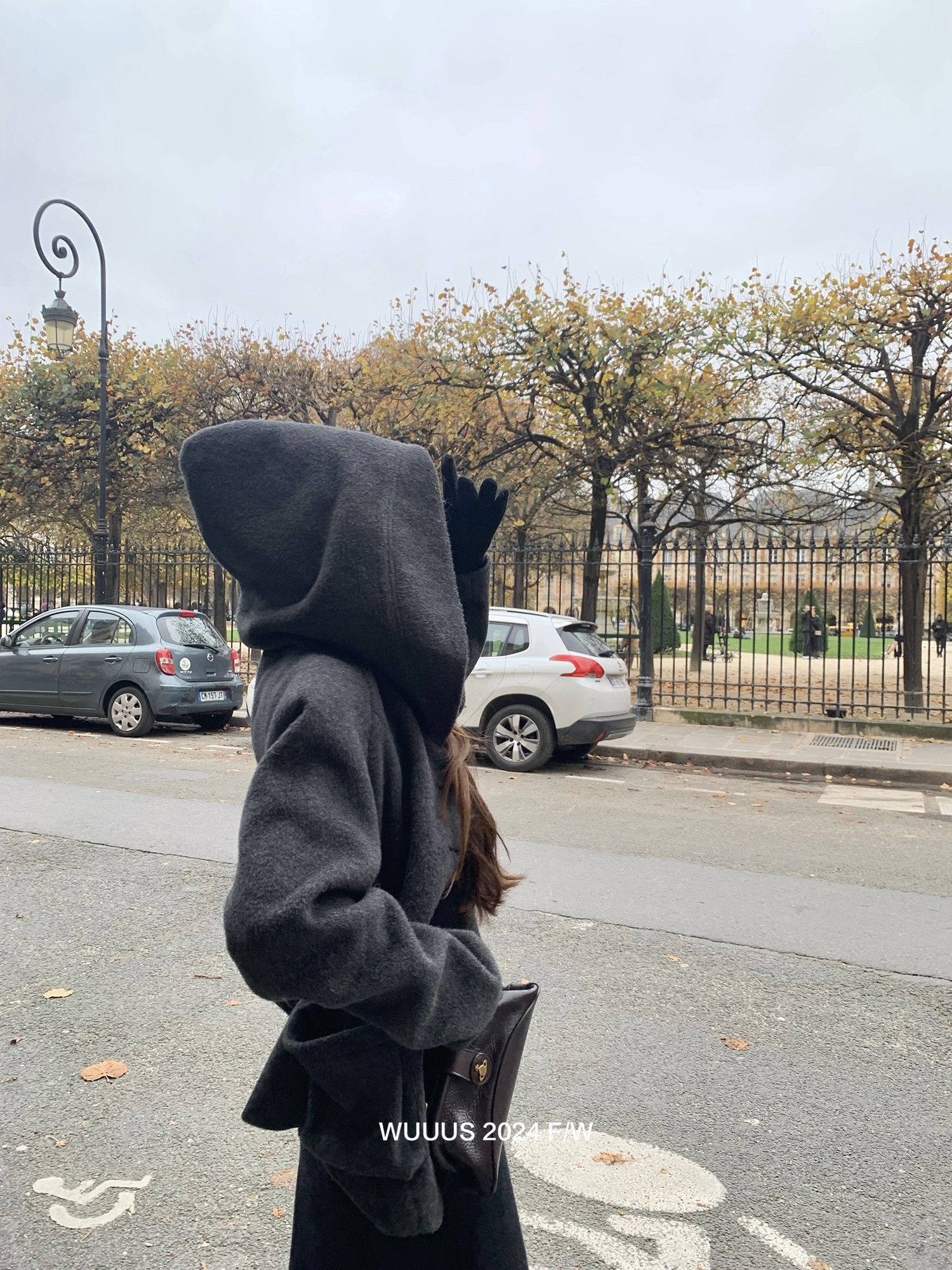 2024-11-11 142036.jpg