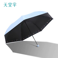 Люблю играть в кошек