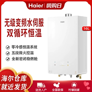 Haier/haier jsq31-16kl5sfxpggu1 газовый водонагреватель двойной циркуляцию
