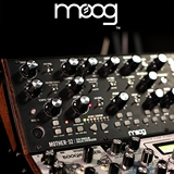 [Nanga m] moog dfam / mother-32 / subharmonicon salf-модуль синтезатор