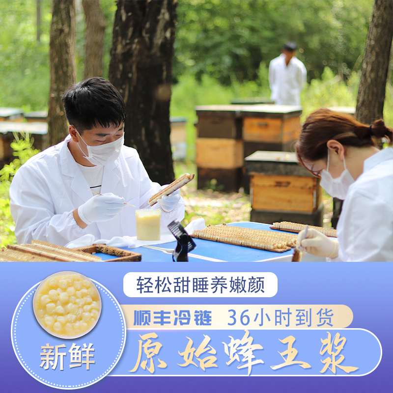 Black bee low production of motherwort fresh bee royal jelly wild natural pure honey royal jelly farmhouse self-produced 500g Shunfeng-Taobao