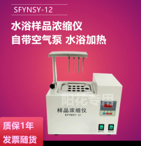 SFYNSY-12 hole water bath nitrogen blowing instrument 12 hole electric water bath nitrogen blowing instrument sample concentration blow drying instrument