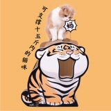 Yuan Yan Meow 丨 Purlab 噗 噗 噗 噗 Лабораторный тигровый кот схватил доску, маленький тигр называет мать -кошку, захватывающую гнездо кошки