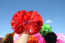 Big red colorful matte red-cheerleading flower intercourse flower performance cheerleading ball
