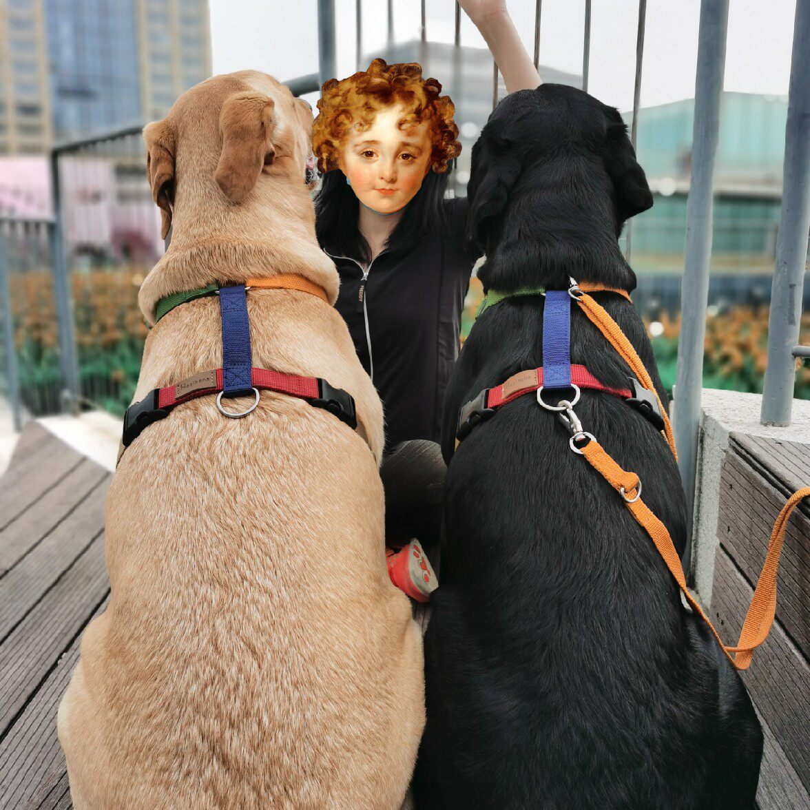 Ground Dog Hair Italian Artisanal Haqihana Five Colorful Artificial Chest Back Traction Forward Favourites Color Pre-sale