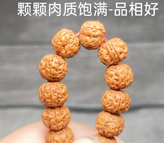 드래곤 스케일 패턴 작은 Rudraksha 씨앗 108 Kao 작은 Vajra 팔찌 남성과 여성을위한 원래 씨앗 Rudraksha 목걸이 수집