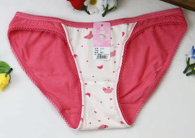 Slip jeune t215 en coton - Ref 652814 Image 6