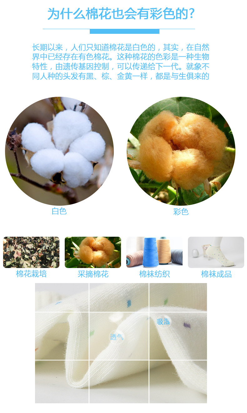 Chaussettes - collants W014 - Ref 757823 Image 7