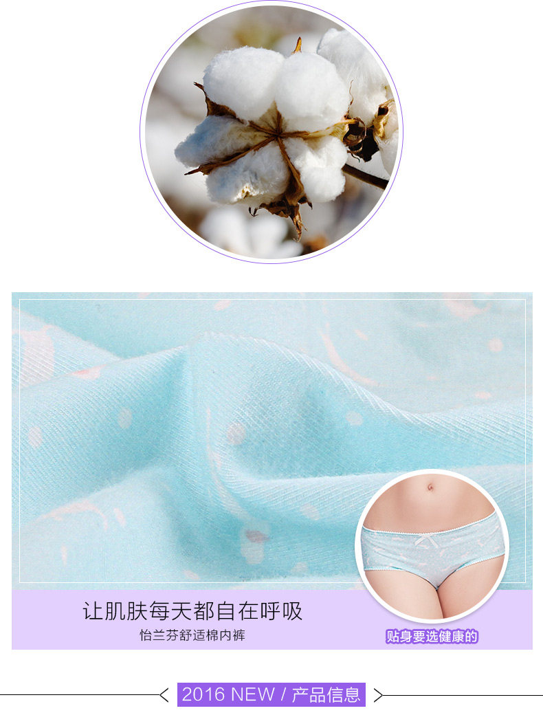 Slip jeune en coton - Ref 640146 Image 8