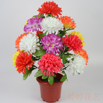 12 18 colored flower simulation chrysanthemum sacrifice tomb sweeping tomb tomb tomb Winter Solstice memorial grave
