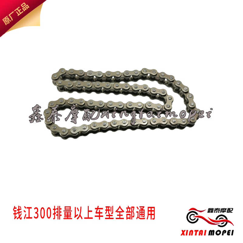 Qian Jiangli Longlong BJ600GS 300 302R 500502 502C OIL PUMP CHAIN