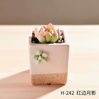 H-242+красная граница луна тень