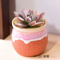 H-1 132+Qiuli (Редкий Мучо)