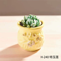 H-240+Специальный нефритовый лотос