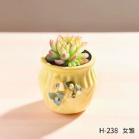 H-238+женская цыпочка