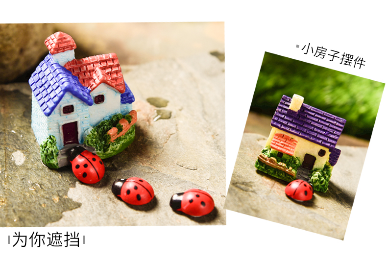 Kaitianhuahang đa thịt vi cảnh làm vườn cung cấp cây xanh trang trí nhỏ nhà ở đất nước châu Âu bình tưới cây
