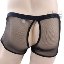 Sex lingerie mens sexy underwear transparent mesh mens perspective fine mesh open crotch boxer black shorts head