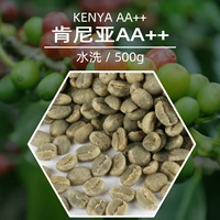 Громче Kenya Aa ++ Coffee Raw Bean Sail ингредиенты сырые кофейные зерна 500 г новые продукты