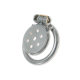 Stainless Steel Dog Leash Chastity Lock Wearable for Outdoor Use, Crawling Dog Detachable Pot Lid Flat Birdcage Jj Lock