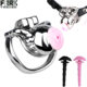 Stainless Steel Pa Ring Chastity Lock Cb Lock Chastity Device Fake Vagina Cover Bdsm Abstinence Anti-Removal Outdoor Wearable Belt