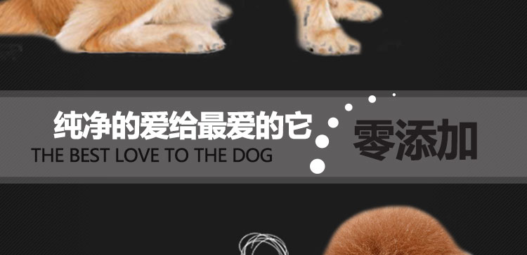 Thức ăn cho chó nói chung 40 kg lông vàng 20kg Samoyed labrador de puppy puppy chó lớn chó trung bình thức ăn cho chó - Chó Staples pate cho chó