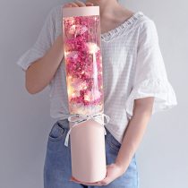Teachers Day Carnation rose starry dried flower bouquet gift box to send teachers best friend girlfriend graduation net red gift