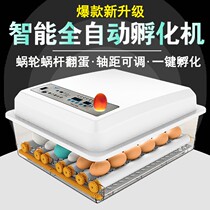 Fully automatic intelligent thermostatic small chicken hatchery goose egg hatching portable home can incubate the machine for a small chicken