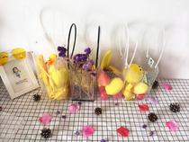 Travel photo night props Korean hipster creative Sea View wedding photography camera lamp transparent handbag polka dot bag