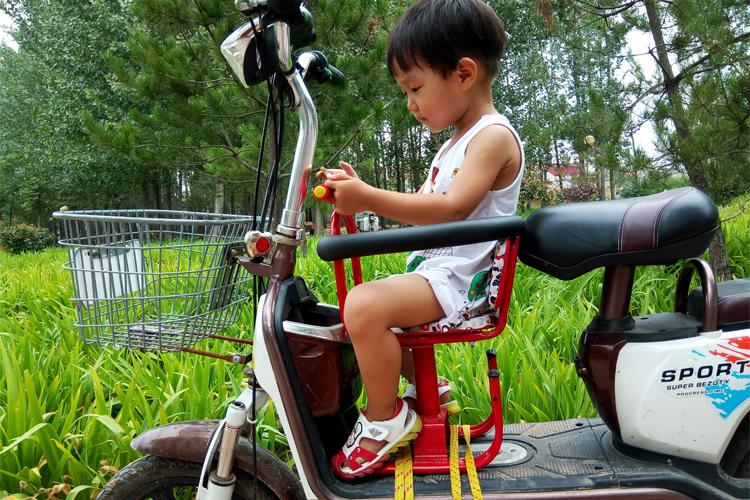 siège enfants pour vélo - Ref 2412737 Image 11