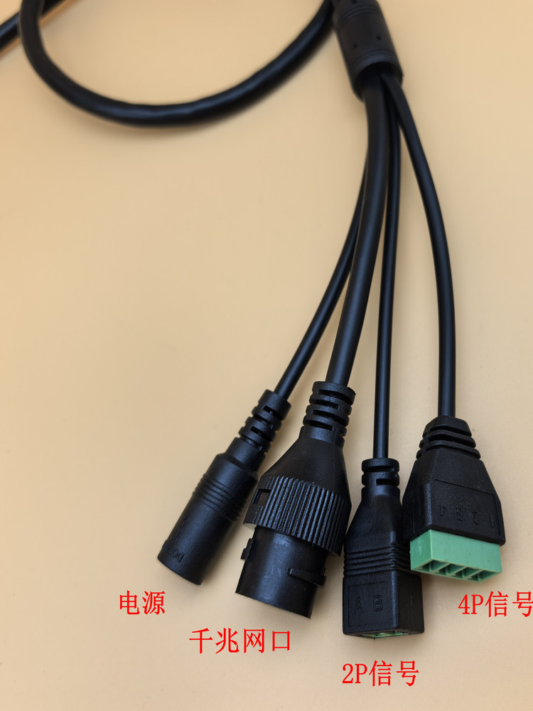 Gigabit Network Port Face Recognition Phoenix Terminal 485 Signal Integrated Alarm Smart Home Access Control Network Wiring