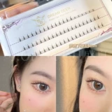 Блог рекомендуется!Дрневизация оленьей фальшивые ресницы естественным образом сегментированная трепетание одиночное кластер тип типа рыбь