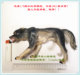 Damtoys Dam Gk011 Kingdom Block 5 Raylff Wolf Ghost Wolf 1/6 Scale Resin Model