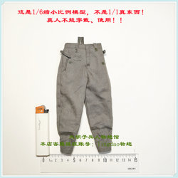 Did D80188 Wwii Wehrmacht Sergeant Steiner Long Trousers Breeches 1/6 Scale Model