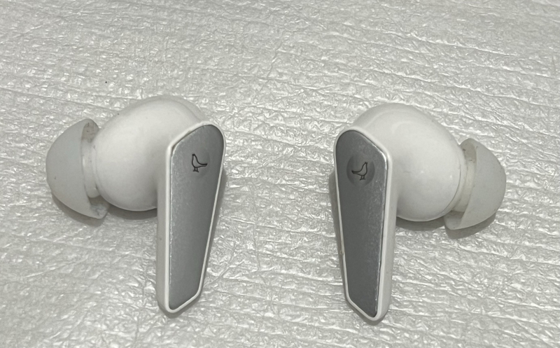 Bird Earphones Air+ 3Rd Generation Left and Right Earphones Lost and Replacement Needed