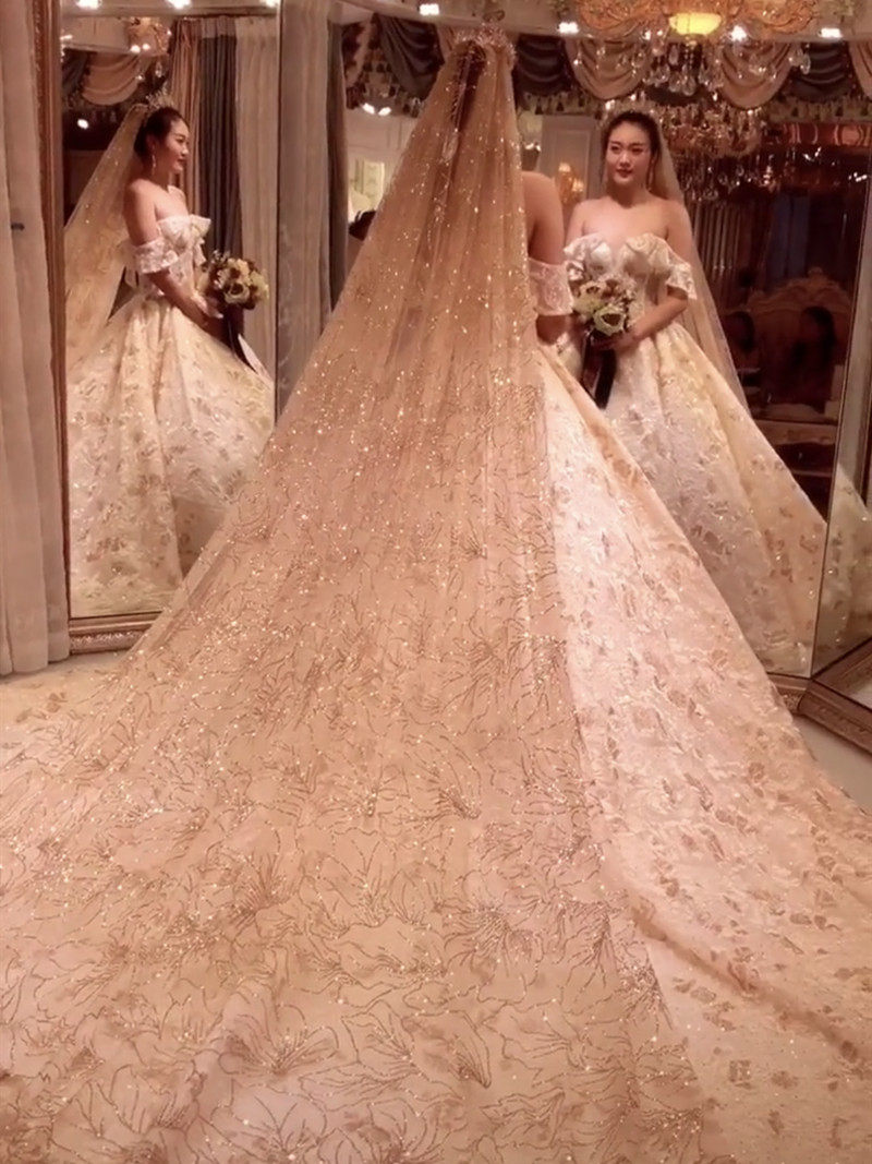 Douyin with the same style luminous champagne gold sequins net red veil super long trailing bride wedding wedding T stage flash yarn