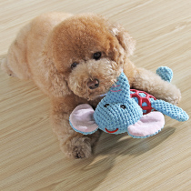 Yite pet pooch toy puppies small dogs resistant to bite and teeth vocal toy Golden Hair Teddy Plush Toys