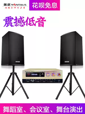 Kim Jong K10 dance studio audio special gym 12 inch theater speaker conference room professional power amplifier wireless Bluetooth wall hanging home KTV set home TV living room k song combination dance room