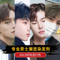 Linen Coffee Color Hair Dye Men Exclusive Colors OWN PURE DYE HAIR GOD Plants At Home Dyed Hair Cream